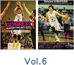 Vol.6